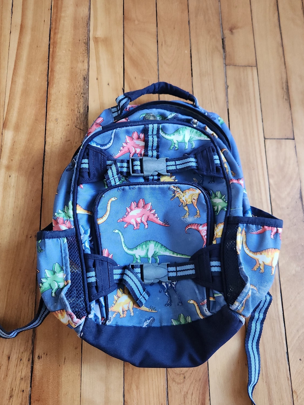 Kids Dinosaur Print Blue Backpack - Pottery Barn